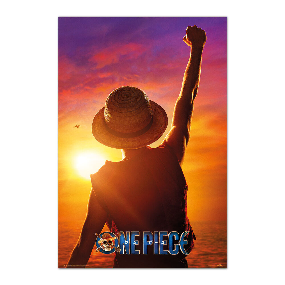 Poster Monkey D. Luffy One Piece ERIK