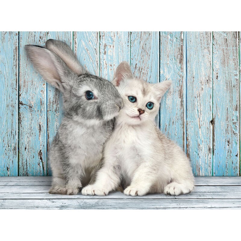 Puzzle Gato y Conejo 500pzs CLEMENTONI