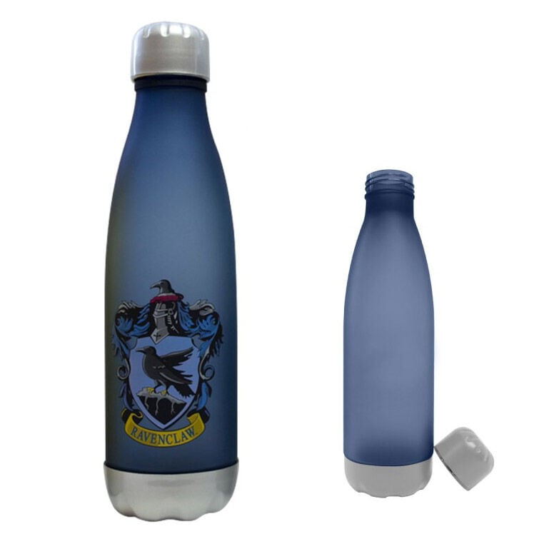 Botella Ravenclaw Harry Potter 650ml WARNER BROS. DISCOVERY