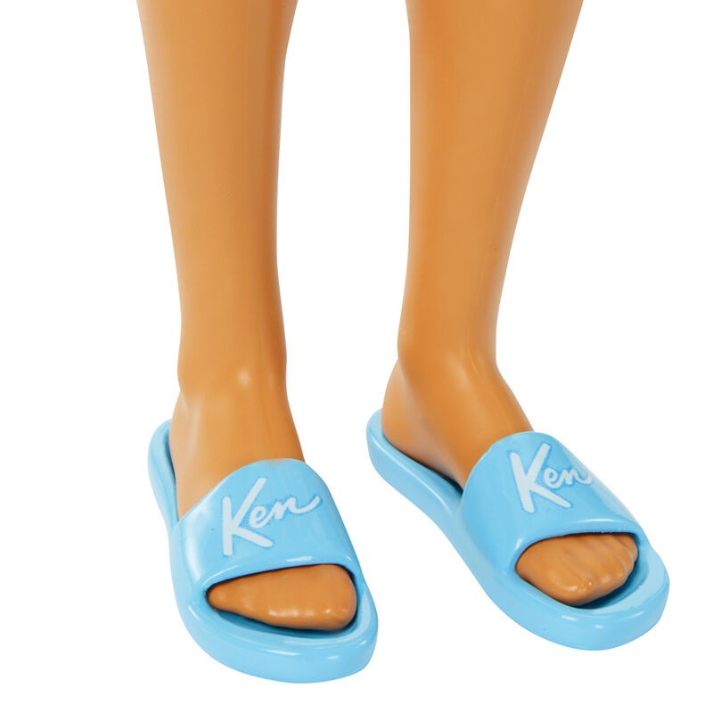 Muñeco Ken Dia en la Playa Barbie MATTEL