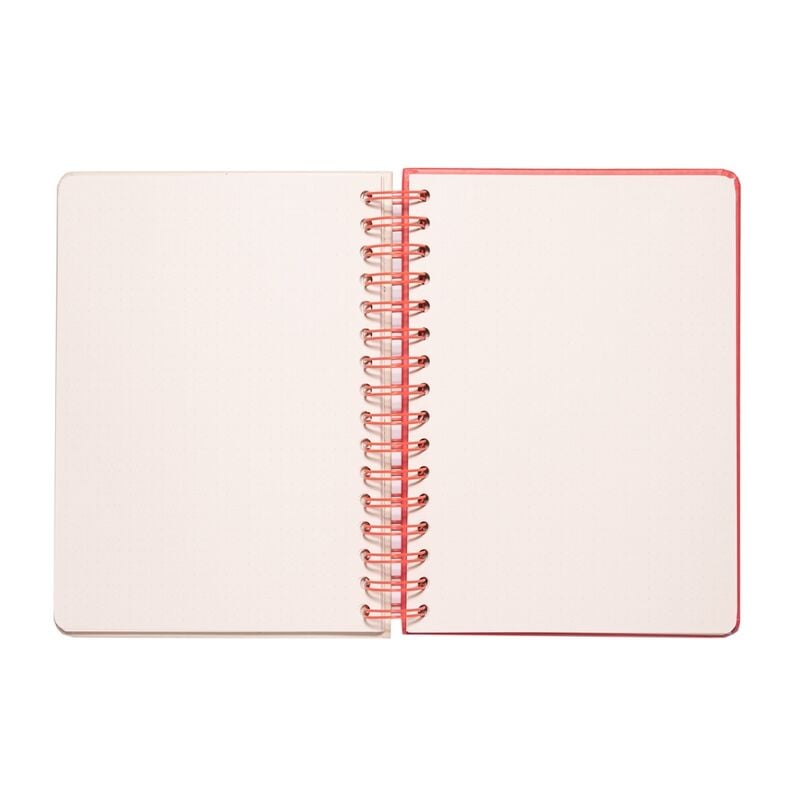 Cuaderno A5 Line Friends ERIK