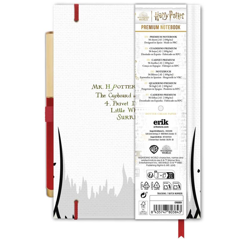 Cuaderno A5 premium + boligrafo Hedwig Harry Potter ERIK