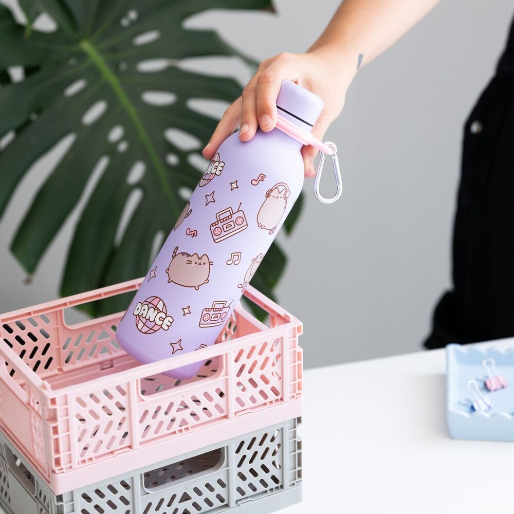 Botella acero inoxidable Moments Pusheen 500ml ERIK