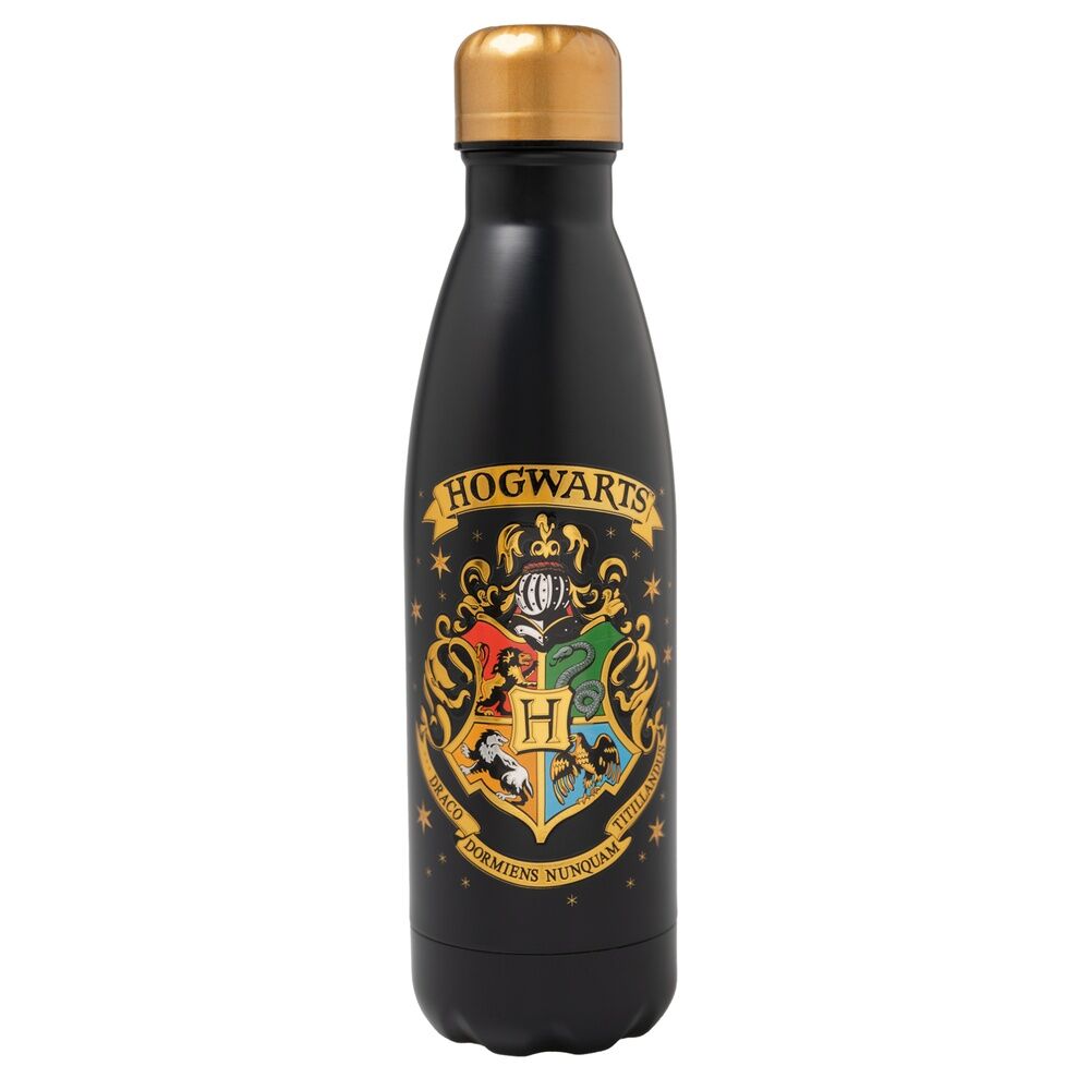 Botella acero inoxidable Hogwarts Harry Potter 500ml ERIK