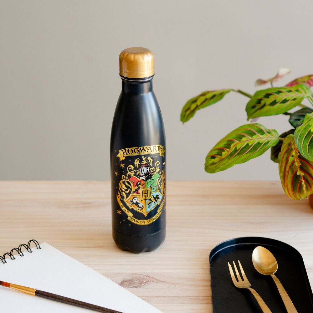 Botella acero inoxidable Hogwarts Harry Potter 500ml ERIK