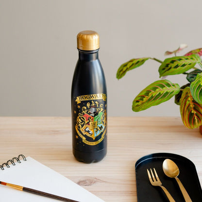 Botella acero inoxidable Hogwarts Harry Potter 500ml ERIK