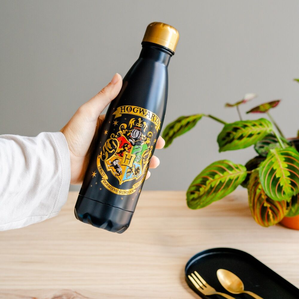 Botella acero inoxidable Hogwarts Harry Potter 500ml ERIK