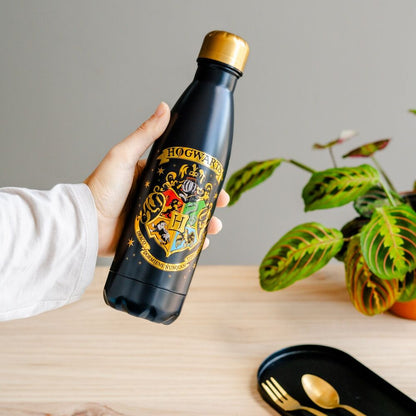 Botella acero inoxidable Hogwarts Harry Potter 500ml ERIK