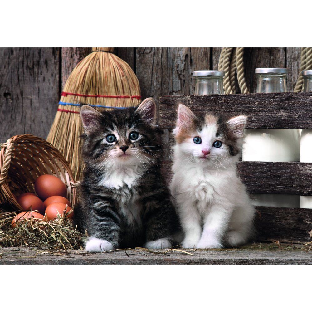 Puzzle Lovely Kittens High Quality 1000pzs CLEMENTONI