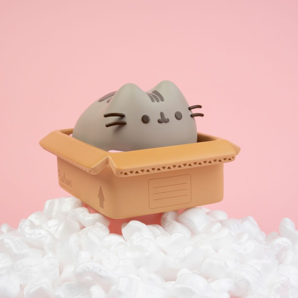 Hucha Pusheen ERIK
