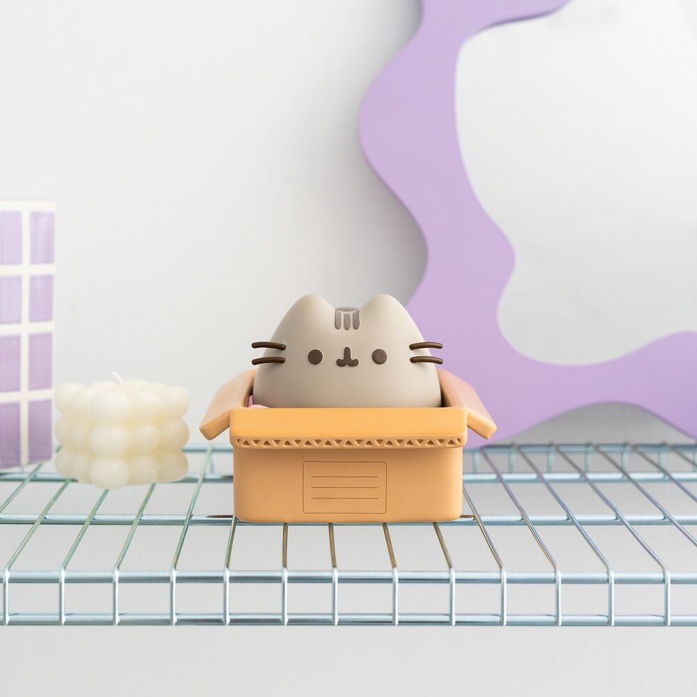 Hucha Pusheen ERIK