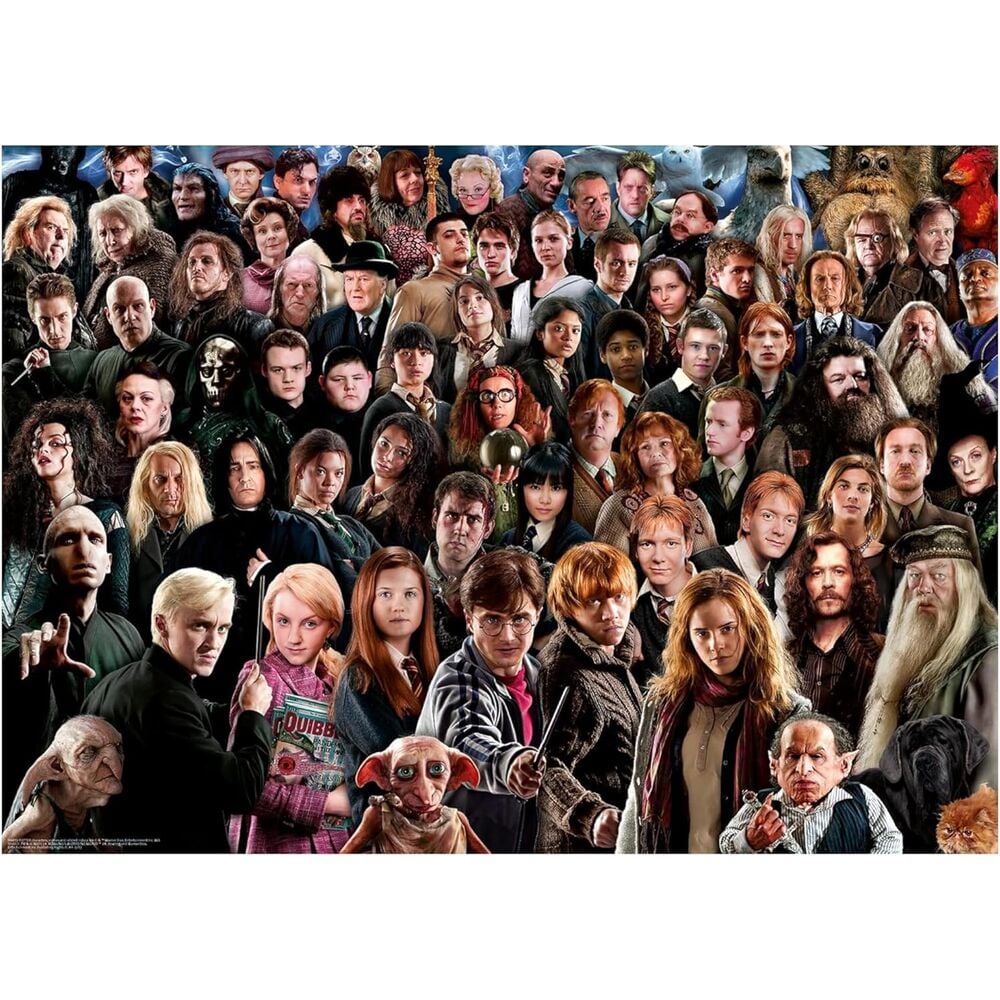 Puzzle Harry Potter 1000pzs RAVENSBURGER