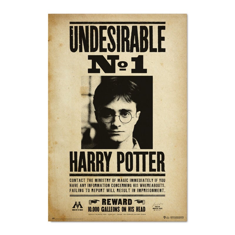 Poster Indeseable Numero 1 Harry Potter ERIK