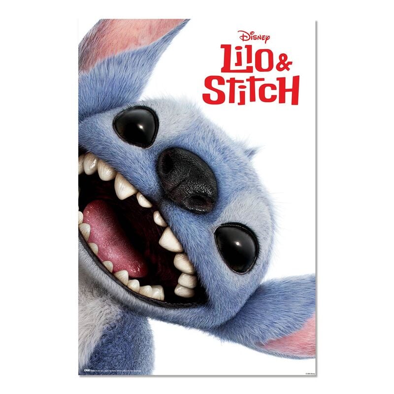 Poster Live Action Stitch Disney ERIK