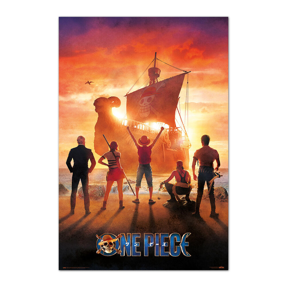 Poster One Piece ERIK