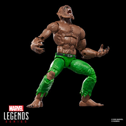 Figura Werewolf By Night Marvel Legends Series 15cm HASBRO