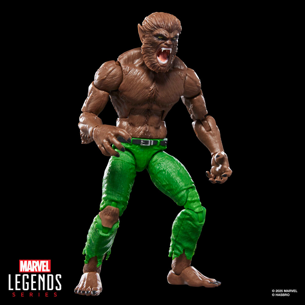 Figura Werewolf By Night Marvel Legends Series 15cm HASBRO