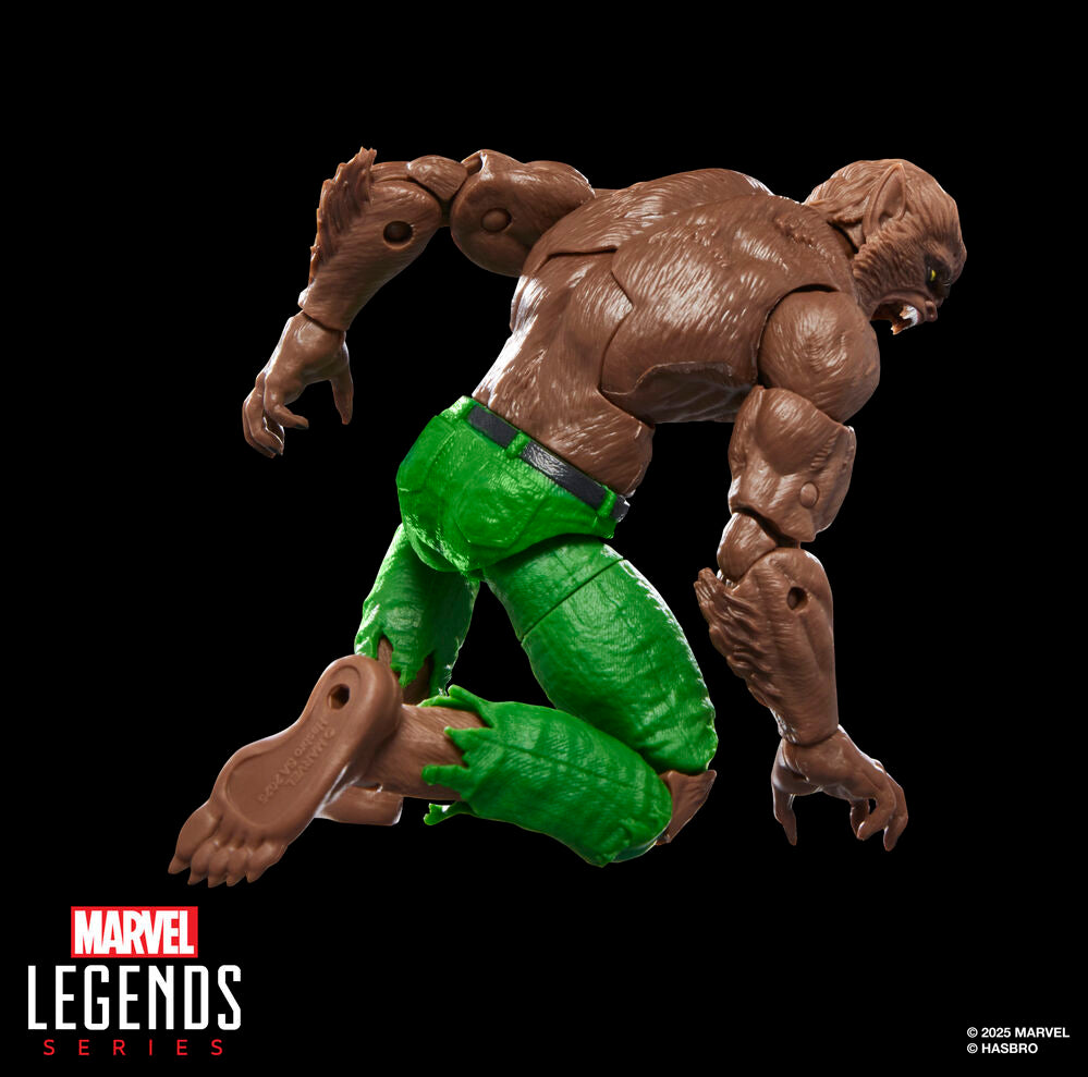 Figura Werewolf By Night Marvel Legends Series 15cm HASBRO