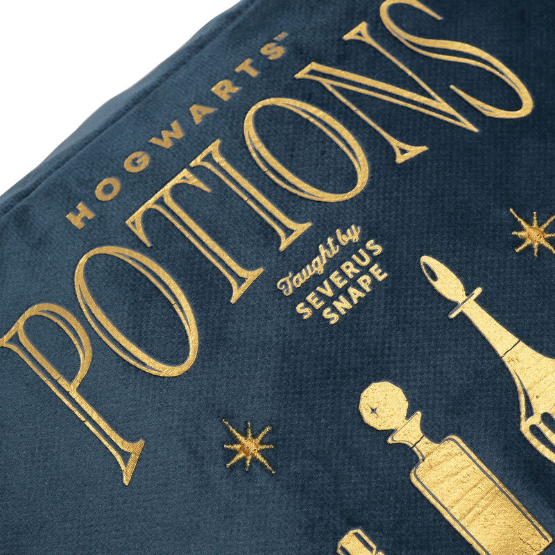 Neceser Potions Harry Potter WIDDOP & CO