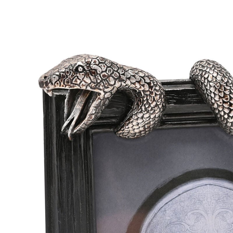 Marco fotos Nagini Harry Potter WIDDOP & CO