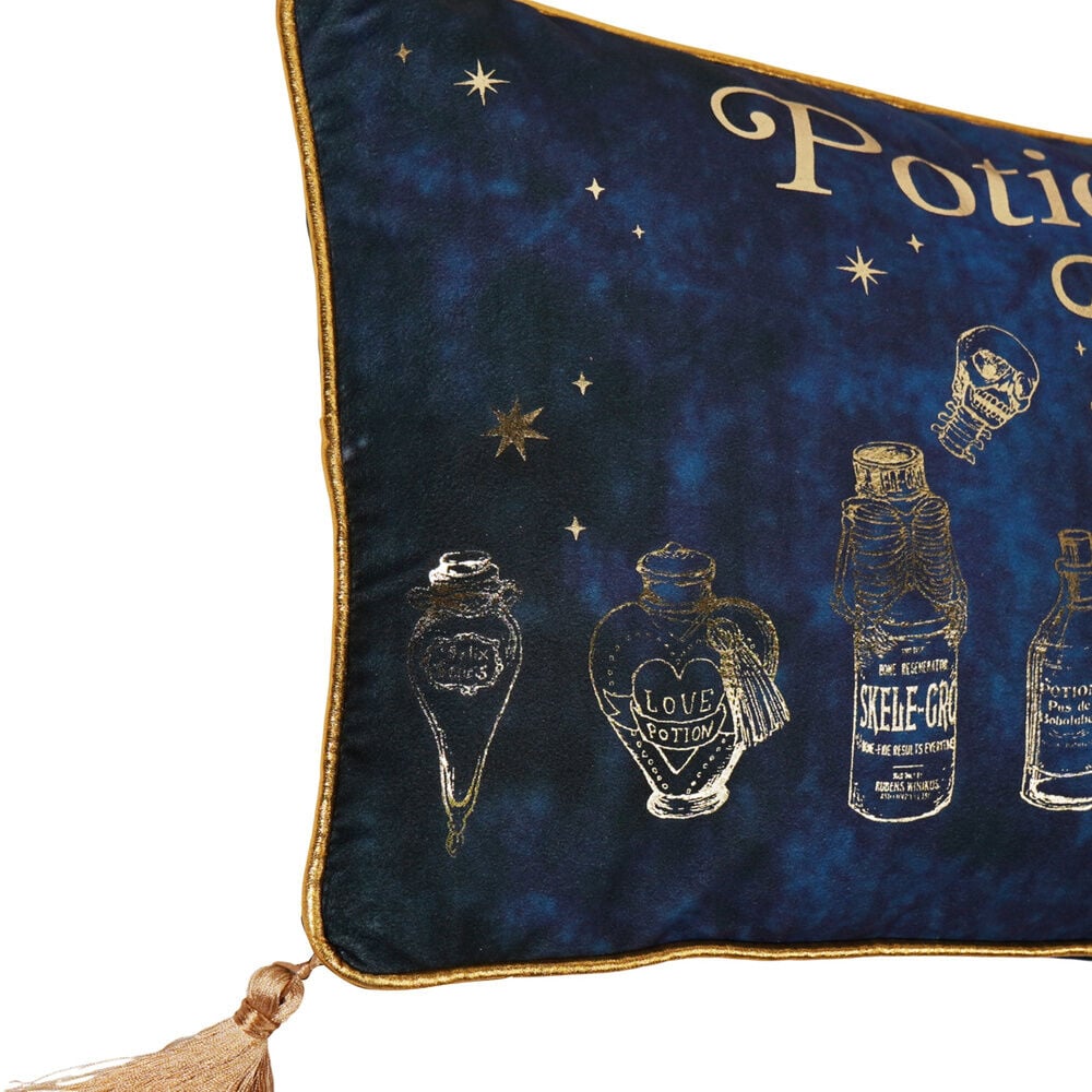 Cojin velvet Potions Class Harry Potter WIDDOP & CO